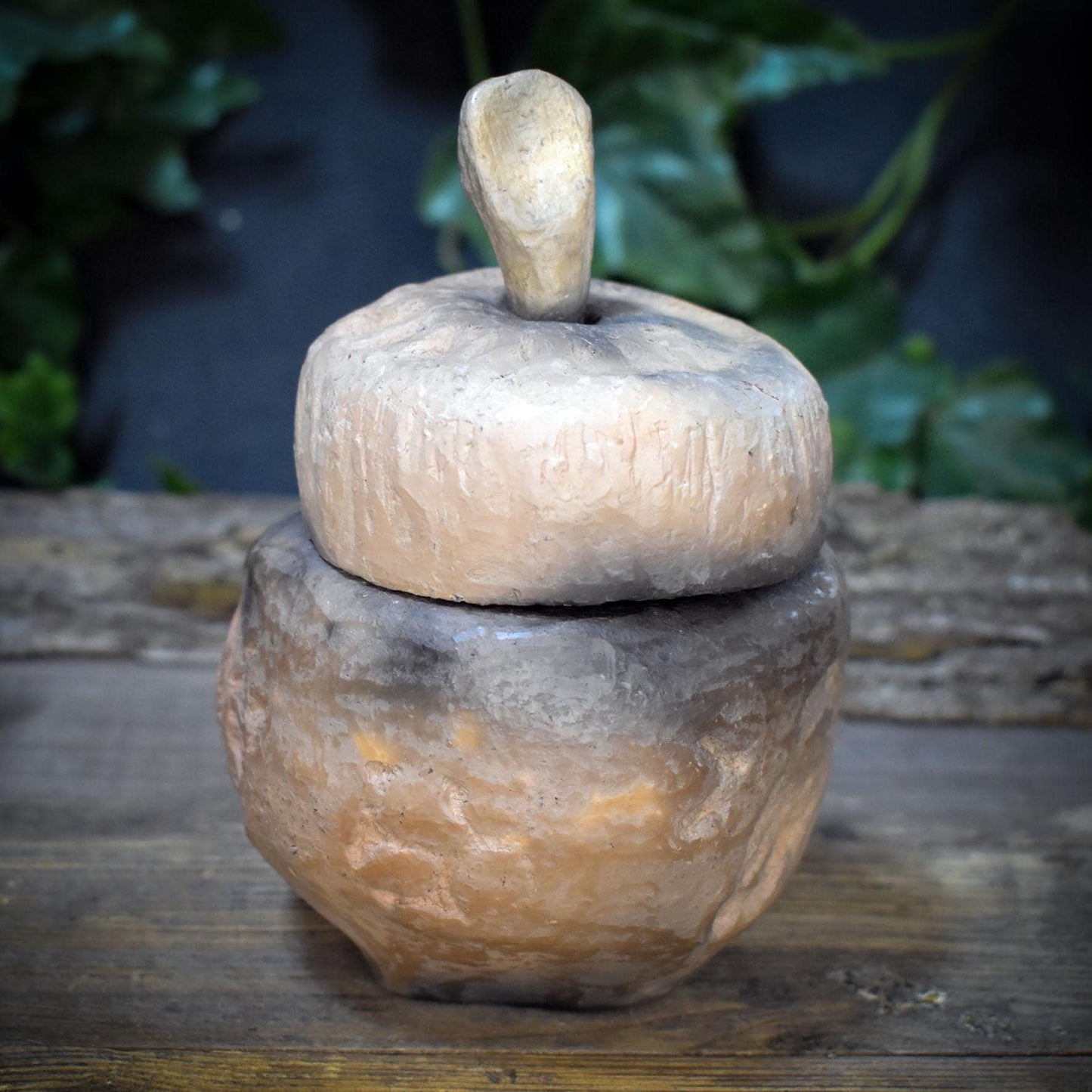 Tongefäß Ammonit Rauchbrand Dose | Archaische Vorratsdose Keramik | Spirituelles Geschenk Fossil Naturform Altar Deko Unikat 720g GEF023