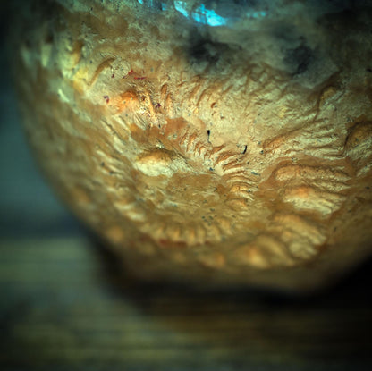 Tongefäß Ammonit Rauchbrand Dose | Archaische Vorratsdose Keramik | Spirituelles Geschenk Fossil Naturform Altar Deko Unikat 720g GEF023