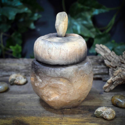 Tongefäß Ammonit Rauchbrand Dose | Archaische Vorratsdose Keramik | Spirituelles Geschenk Fossil Naturform Altar Deko Unikat 720g GEF023