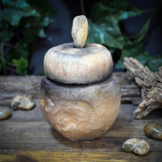 Tongefäß Ammonit Rauchbrand Dose | Archaische Vorratsdose Keramik | Spirituelles Geschenk Fossil Naturform Altar Deko Unikat 720g GEF023
