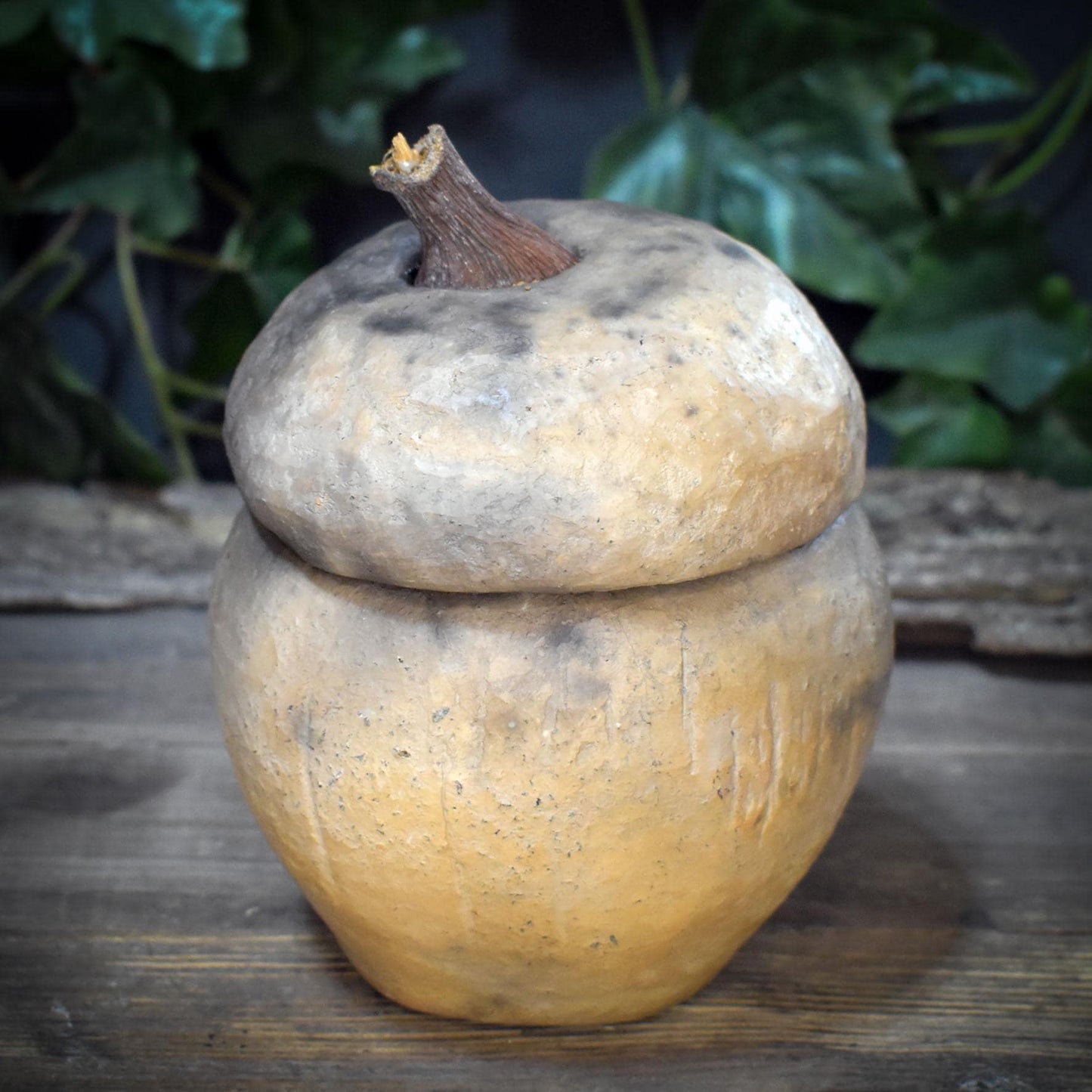 Tongefäß Eichel Rauchbrand Dose | Archaische Vorratsdose Keramik | Spirituelles Geschenk Naturform Altar Deko Unikat 1,18kg GEF022