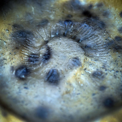 Räucherschale mit Ammonit, Urzeit Keramik Räuchergefäß handgemacht, Schamanische Altar Deko erdig, Fossilien Schale für Kräuter RÄG082
