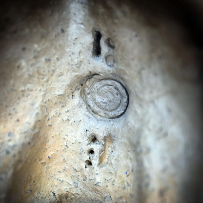 Ton Altar mit Backflow Räuchergefäß, Ammonit Relief Spirale, Schamanische Deko, Rauchwasserfall Keramik, Archaischer Hausaltar RÄH072