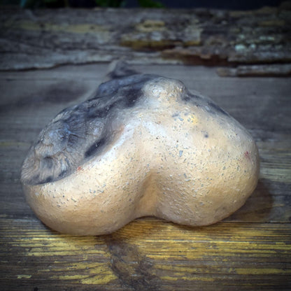 Skulptur Herz Embryo Ammonit Ton Keramik, Gedenkstein Sternenkind Trauerbegleitung, Archaische Kunst Handgefertigt, Ritual Stein AEP012