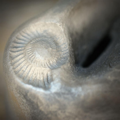 Gefäß für letzte Worte aus Ton – Archaische Grabbeigabe mit Ammonit – Spirituelles Erinnerungsgefäß & Schutzobjekt handgeformt AEP013