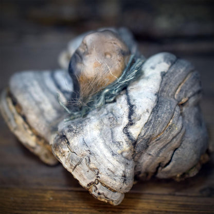Wächter der Bäume Waldgeist Skulptur | Naturwesen aus Rauchbrand Ton & Baumpilz | Schamanische Altar Deko Erdung Unikat 100g SKU318