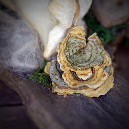 Waldwesen Skulptur mit Echtem Knochen & Baumpilz | Treibholz Kunstobjekt mit Keramikkopf | Schamanischer Altar Wächter SKU323
