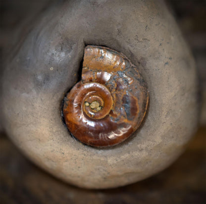 Ammonit Amulett Kette Keramik | Fossil Schutzsymbol Jura Anhänger Spirale | Schamanischer Schmuck Lederband Handgemacht 3cm 12g AMU097