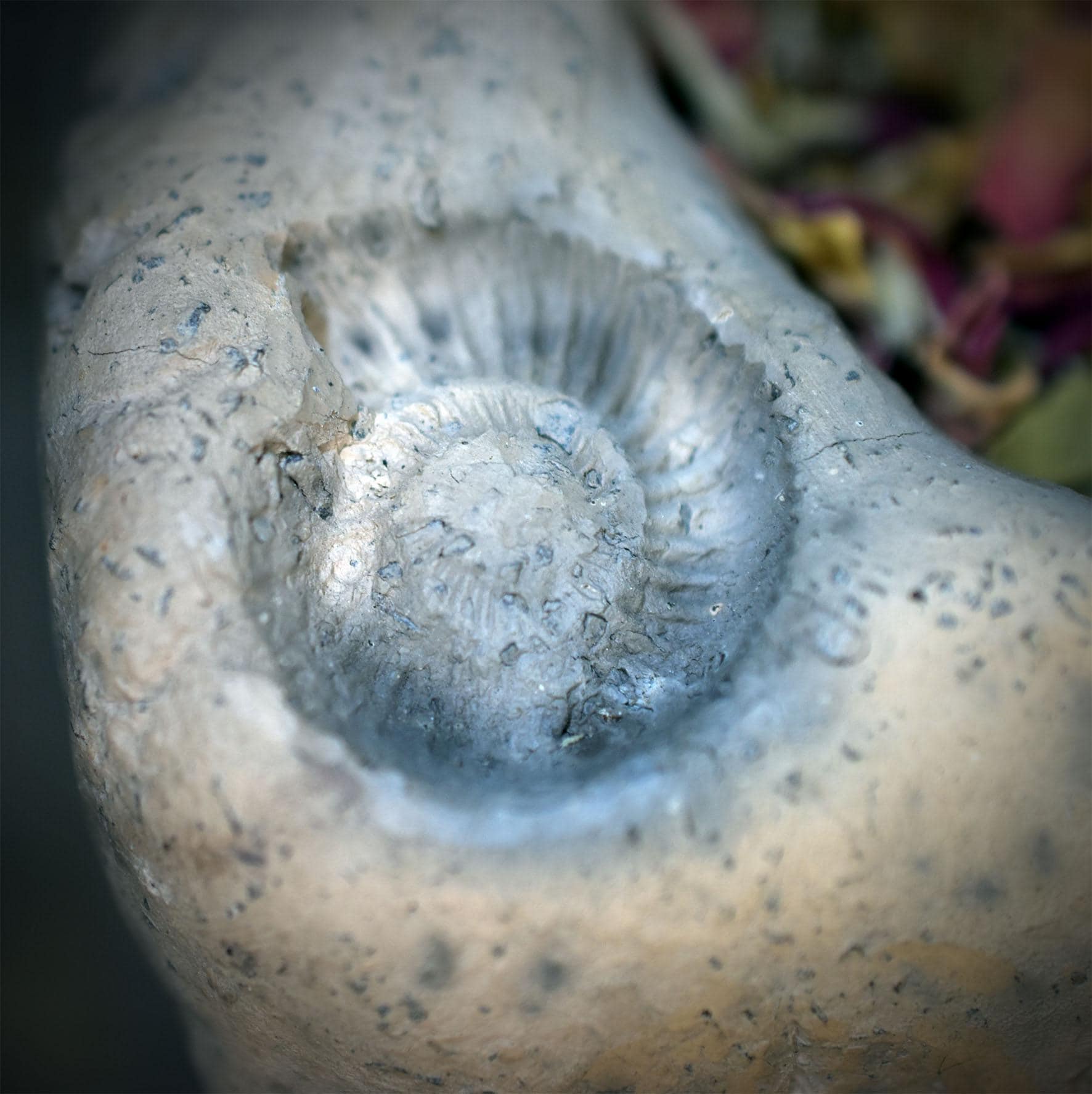 Räuchergefäß für Kohle Teelichthalter Portal Keramik | Räucherschale mit Ammonit Relief | Spirituelle Deko Altar Ritual 2kg RÄG100