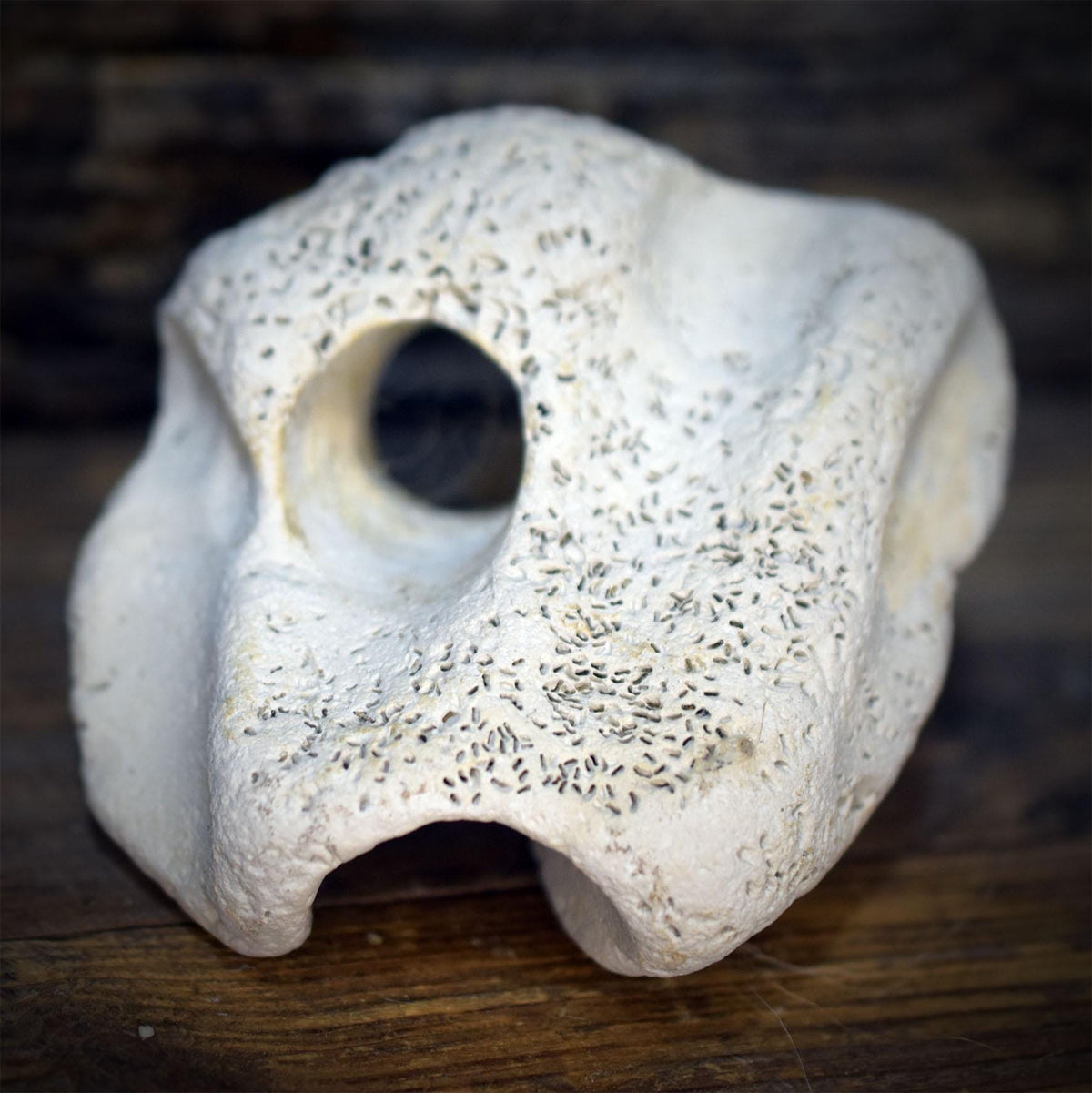 Hüterin der Meere Hagstone Skulptur | Meereswesen aus Rauchbrand Ton & Hühnergott | Altar Schutzstein Deko Wasser Ritual 220g SKU319