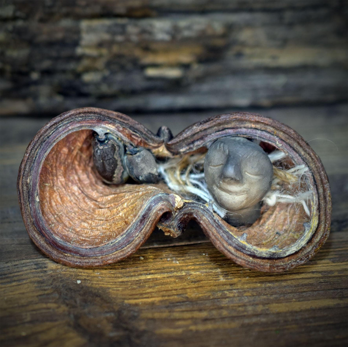 Hüterin der Fruchtbarkeit Naturwesen | Rauchbrand Ton in echter Samenkapsel | Spirituelle Altar Deko Erdung Talisman Unikat 50g SKU320