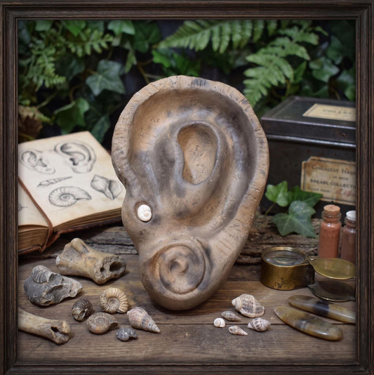 Tonschale Innenklang Ohr Keramik Altar Schale Spirale Shiva Auge Ritual Objekt Rauhnächte Achtsamkeit Meditation Skulptur Unikat GEF024