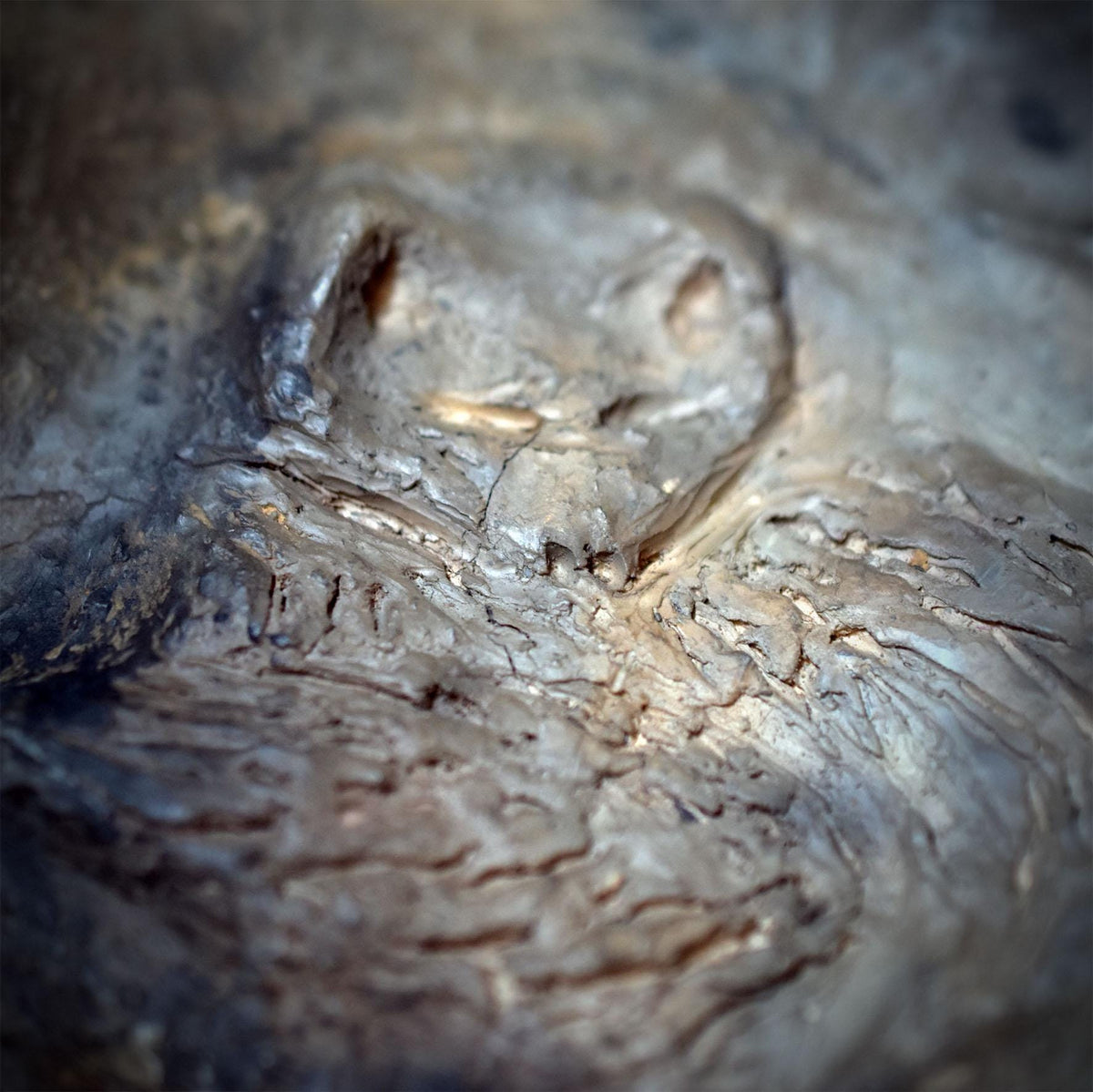 Wanddeko Krafttier Fuchs Rune Eihwaz Keramik Wandbehang Ton Tafel Wandel Übergang Altar Schutz Talisman Ritual Unikat HEX046