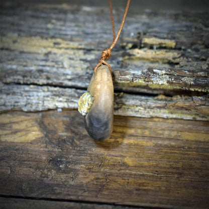 Fossil Amulett Rhynchonella Kette Ton Anhänger Urzeit Talisman Schutzstein Keramik Schmuck Glücksbringer Altar Unikat AMU102