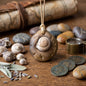 Fossil Amulett Schnecke Kette Ton Anhänger Spirale Urzeit Talisman Schutzstein Keramik Schmuck Altar Ritual Unikat AMU103