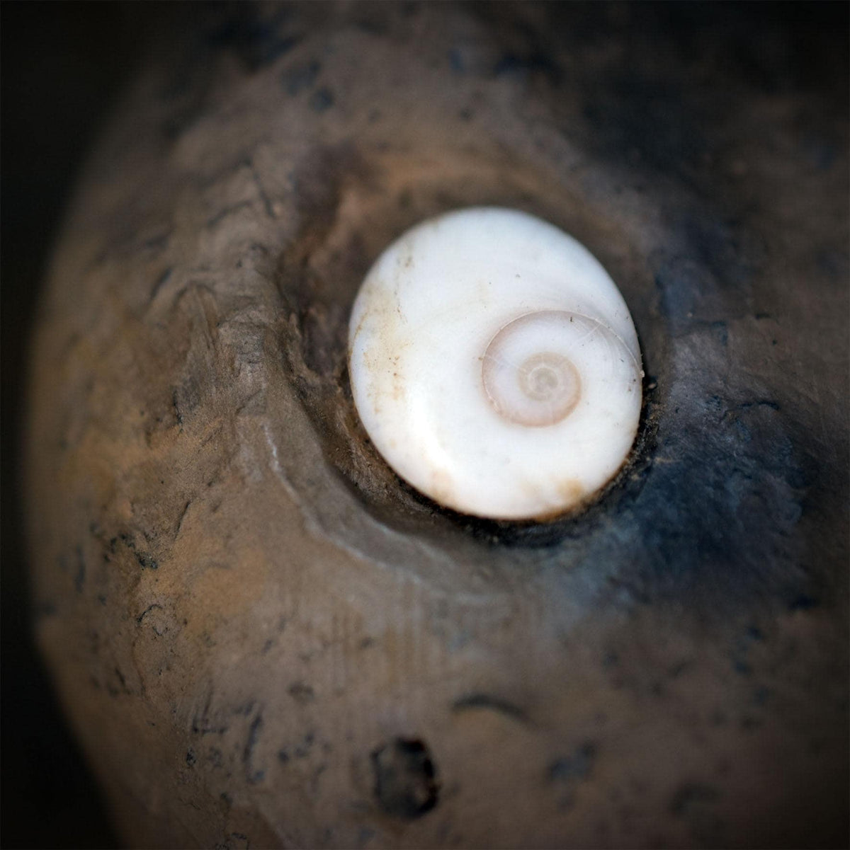 Tonschale Innenklang Ohr Keramik Altar Schale Spirale Shiva Auge Ritual Objekt Rauhnächte Achtsamkeit Meditation Skulptur Unikat GEF024
