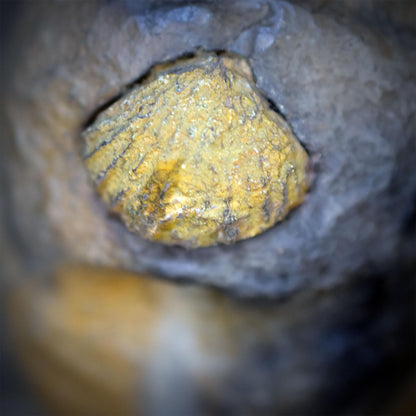 Rückfluss Räucherkegelhalter mit Fossil, Brachiopode & Ammonit, Meditationsstein für Räucherwerk, Backflow Räuchergefäß handgefertigt RÄH085