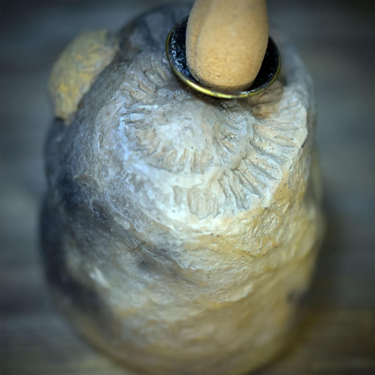 Rückfluss Räucherkegelhalter mit Fossil, Brachiopode & Ammonit, Meditationsstein für Räucherwerk, Backflow Räuchergefäß handgefertigt RÄH085