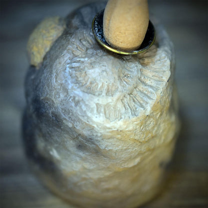 Rückfluss Räucherkegelhalter mit Fossil, Brachiopode & Ammonit, Meditationsstein für Räucherwerk, Backflow Räuchergefäß handgefertigt RÄH085