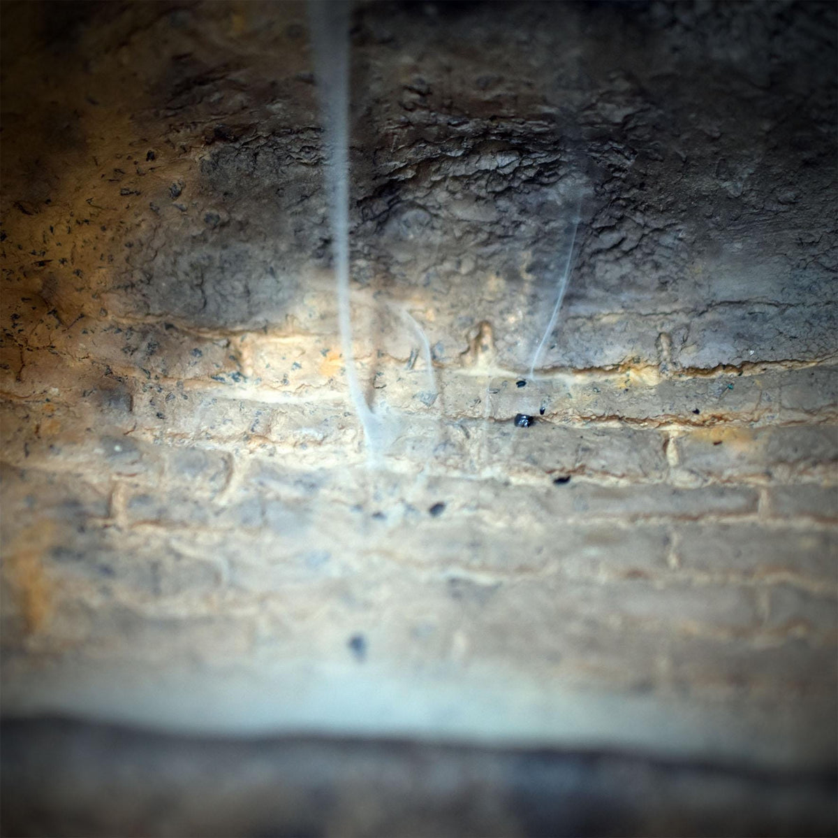 Backflow Räucherkegelhalter Ammonit Keramik Rauchwasserfall Räuchergefäß Grotte Altar Wanddeko RÄH86