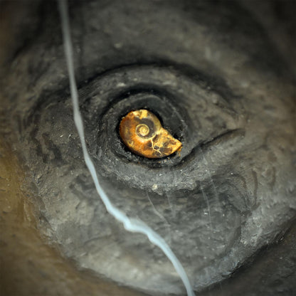 Backflow Räucherkegelhalter Auge Ammonit Keramik Rauchwasserfall Räuchergefäß Drittes Auge Altar Deko RÄH087