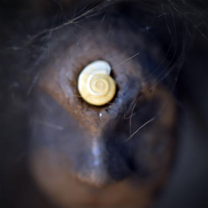 Ritualstab Drittes Auge Schamane Astholz Keramik Stab Wolle Altar Zeremonie Naturspiritualität RST053