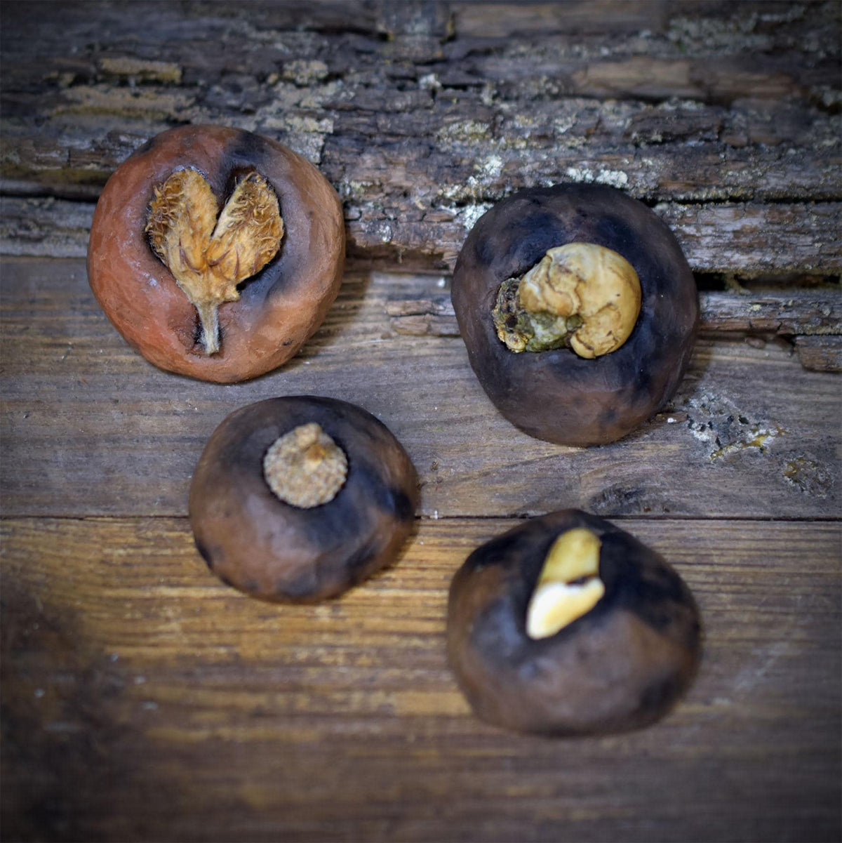 Herbstwald Magnete 4er Set mit Hirschgrandel, Buchecker, Eichelhütchen und Baumpilz, handgeformte Keramik, Unikate WKM001