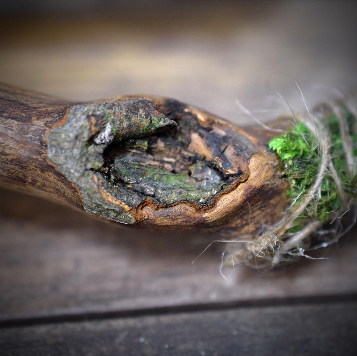 Ritualstab Gesicht Keramik Astholz Schamanischer Stab Altar Naturspiritualität Zeremonie Räuchern RST051
