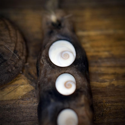 Wanddeko allsehendes Auge Ammonit Shiva Auge Astholz Keramik Wandbehang Schutzamulett Altar Naturdeko HEX058