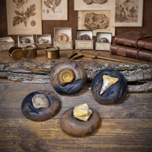 Fossilien Magnete 4er Set mit Ammonit, Haizahn, Brachiopode und Seelilie, handgeformte Keramik, Unikate FKM001