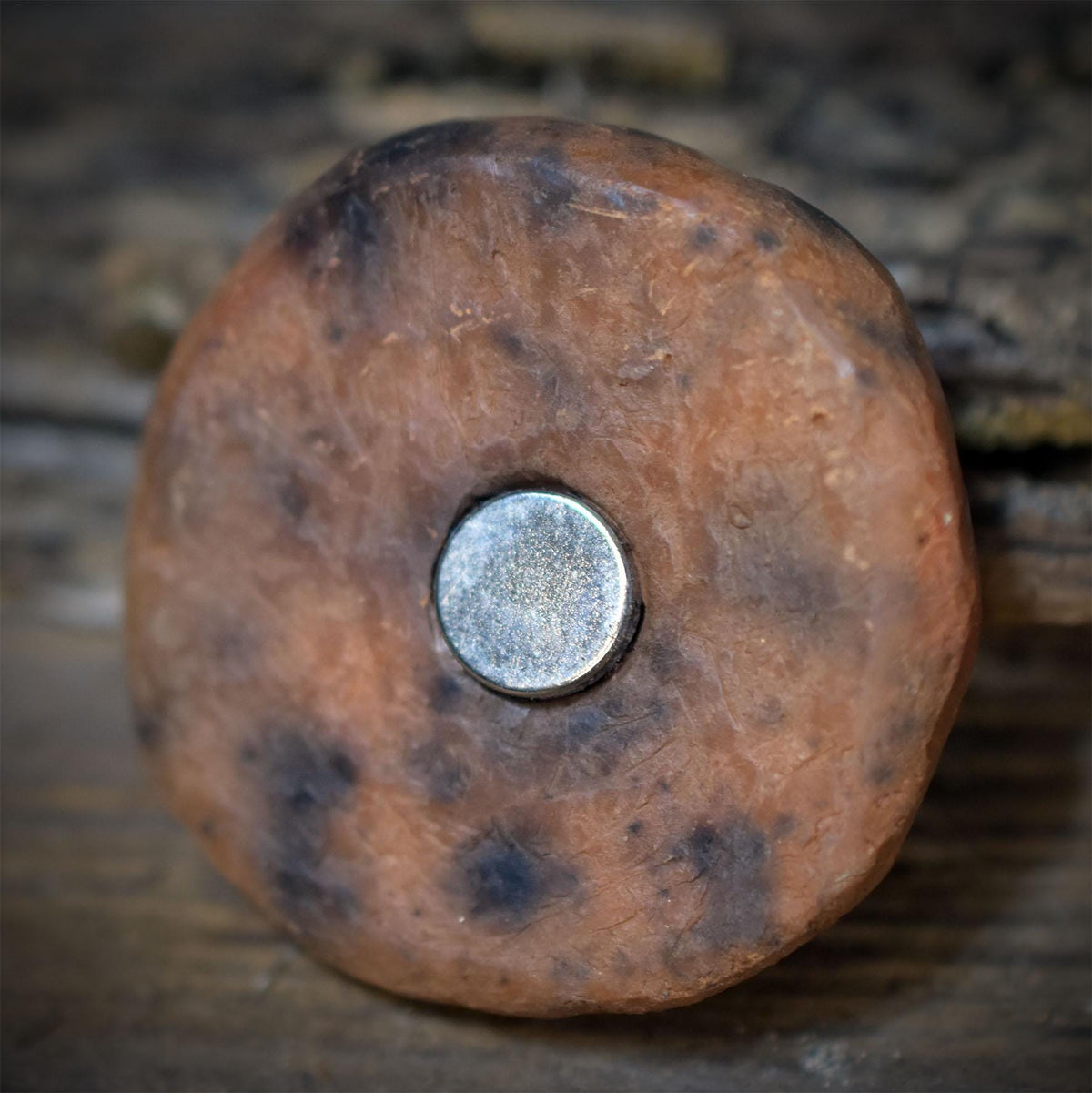 Herbstwald Magnete 4er Set mit Hirschgrandel, Buchecker, Eichelhütchen und Baumpilz, handgeformte Keramik, Unikate WKM001