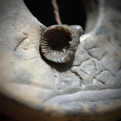 Hühnergott Wanddeko Keramik, Hagstone Wandbehang mit echten Fossilien und Treibholz, Schutztalisman Unikat HEX066