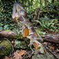 Ritualstab aus Holz und Keramik mit Sandrose und Holzperle, schamanischer Kraftstab für Rituale, Unikat RST055