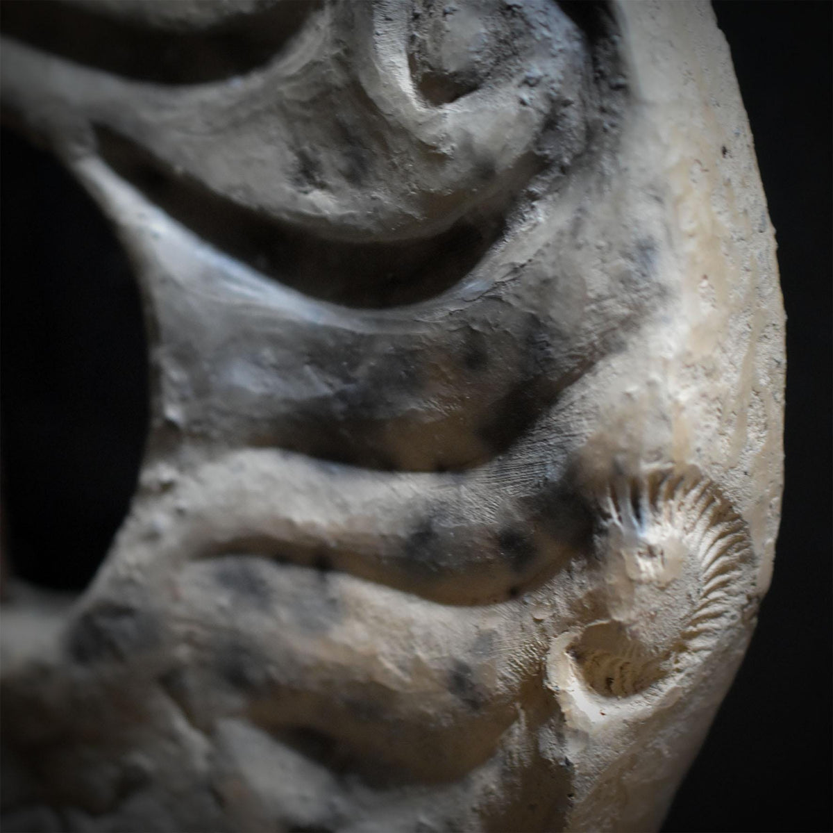 Hühnergott Wanddeko Keramik, Hagstone Wandbehang mit echten Fossilien und Treibholz, Schutztalisman Unikat HEX066