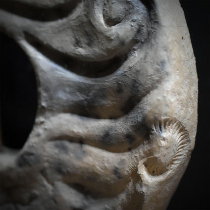 Hühnergott Wanddeko Keramik, Hagstone Wandbehang mit echten Fossilien und Treibholz, Schutztalisman Unikat HEX066